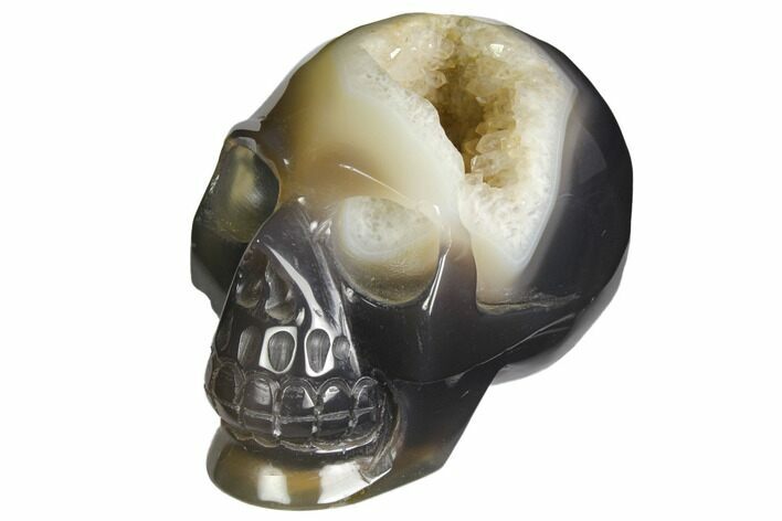 Polished Agate Skull with Quartz Crystal Pocket #148102